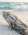 Pendant Necklace — Coastal Lifestyle | Generated by Modelize